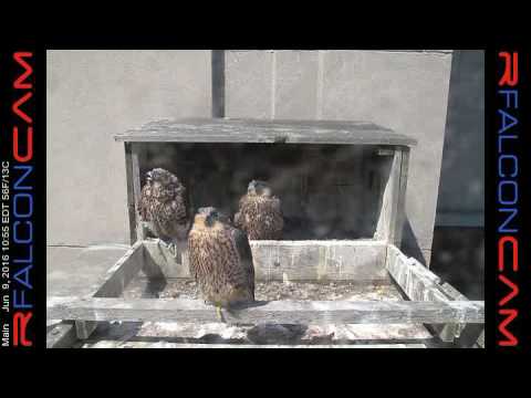 Main Camera - 06/09/16