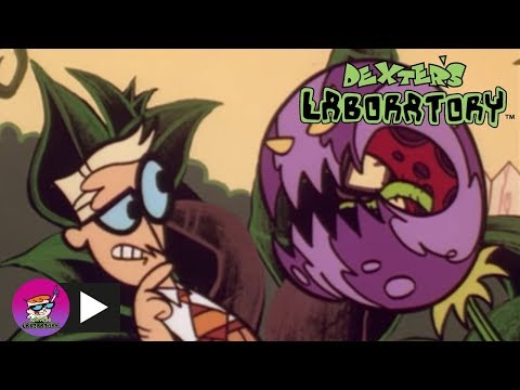 Dexter's Laboratory | Plants Gone Wild | Cartoon Network - YouTube
