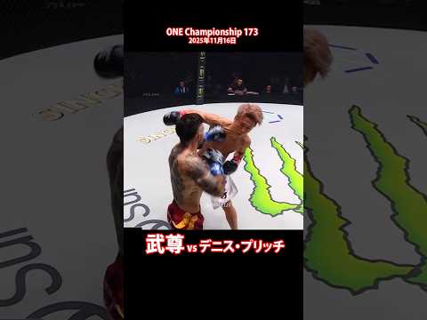 武尊 vs デニス・プリッチ：カーフキックで下を削り続け、最後は重く正確なパンチの連打でフィニッシュ  Takeru  ONE