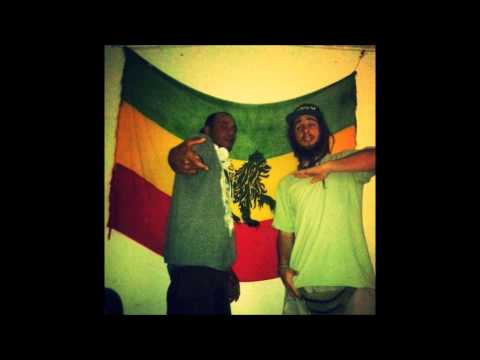 CRONOX - FREESTYLE 3300 (-2014-)