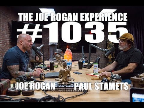 Joe Rogan Experience #1035 - Paul Stamets Video