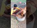 பசுவில் பால் அளவு அதிகரிக்க Santhosh 2K Vivasayi