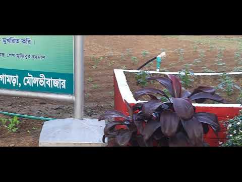 আঞ্চলিক সমবায় ইনস্টিটিউট, মৌলভীবাজার সকালের দৃশ্য