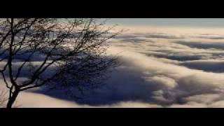 Jewel "Absence of fear"