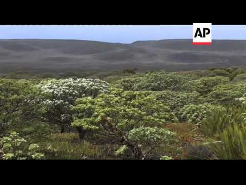 Reforestation projects on St Helena