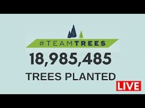 MrBeast Plants 20 Million Trees - #teamtrees - LIVE COUNTER