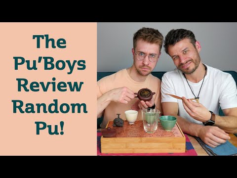 The PUBOYS review a FRUSTRATING Bulang PuErh Tea. RATING RANDOM TEA #4