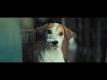 Sik World Feel Alive Lyric Video