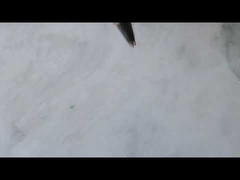 Rose cupcakes 😁🌹