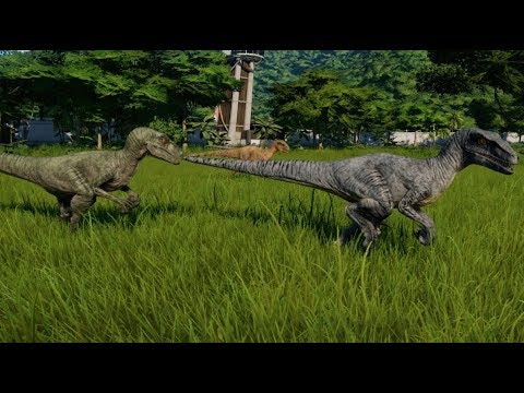 Jurassic World Evolution - Blue, Echo, Delta & Charlie Hunting (1080p 60FPS)