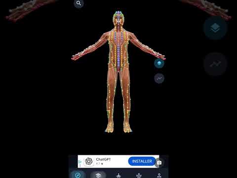 Meridian flow 3D video thumbnail