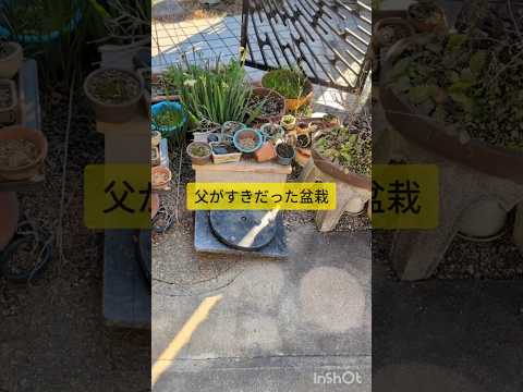 【最近の作業実績】大阪府富田林市 土回収 ビフォーアフター