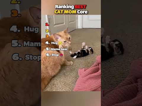 Ranking the BEST Cat Mom Moments!! 🐱🍼