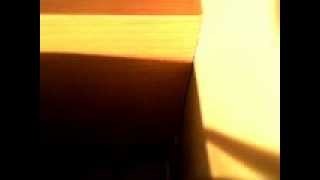 the happy hunting ground