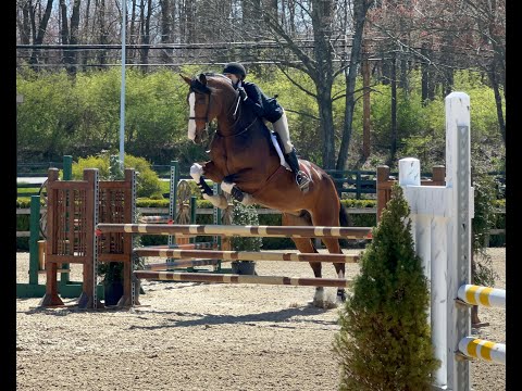 Winning Hamel on Honorable, Vail Show at OSF April 2022