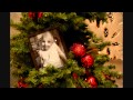 Festival Of Trees Chante S Story