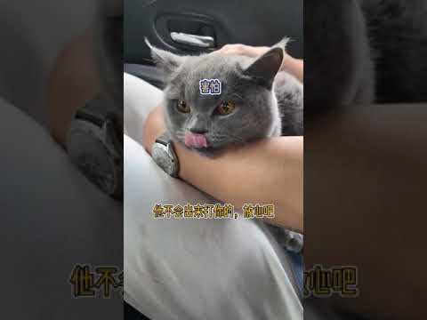 果凍是誰
