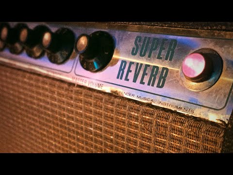 1975 FENDER SUPER REVERB SILVERFACE image 10