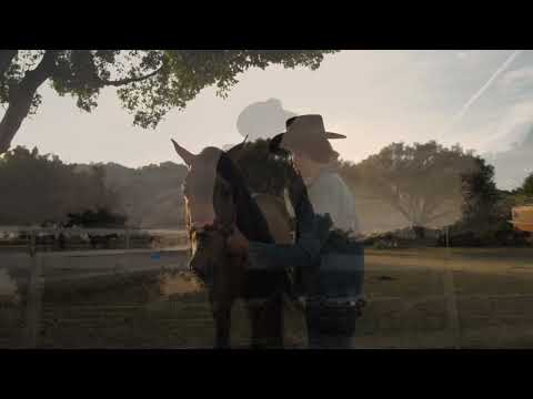 Dafina Zeqiri x Cricket - Harroj  (video FK)