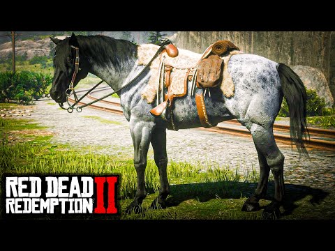 NOKOTA: A RAÇA QUE VOCÊ PRECISA CONHECER(O COMPÊNDIO pt. 14) - RED DEAD REDEMPTION 2