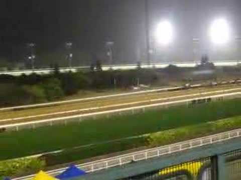macau horse racing 3