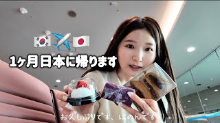 【韓国在住/日韓カップル】日本に帰ります🇰🇷✈️🇯🇵報告と近況と韓国生活と今後についてと最後にお知らせあり📢三度の飯より餅が好き餅狂いは朝から韓国餅빚은食べて幸せ🍡