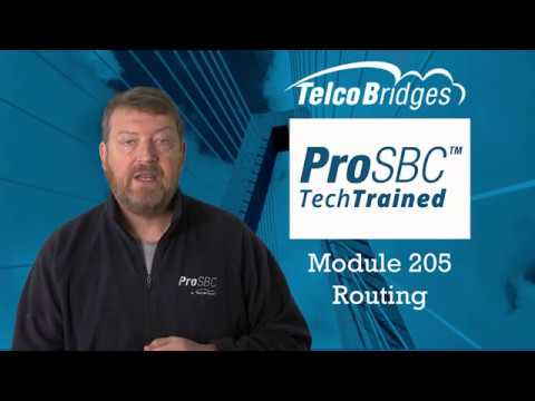 Prosbc Techtraining Module 205 Call Routing Capabilities