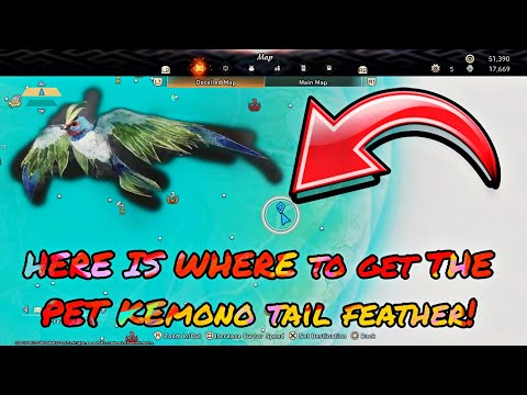 How to get the Pet Kemono Tail Feather! Wild Hearts!