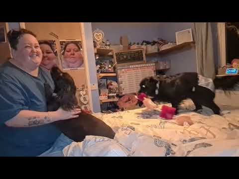 We Got A Simba Hybrid Pro Mattress ☆5.3.22☆