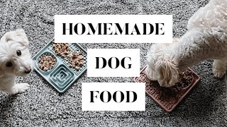🐶  Easy, Balanced Homemade Dog Food | ajadang