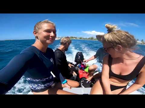 Sailing and diving the Pacific Ocean