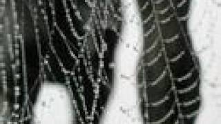 Music video thumbnail preview for Along the way - Regicide by Regicide