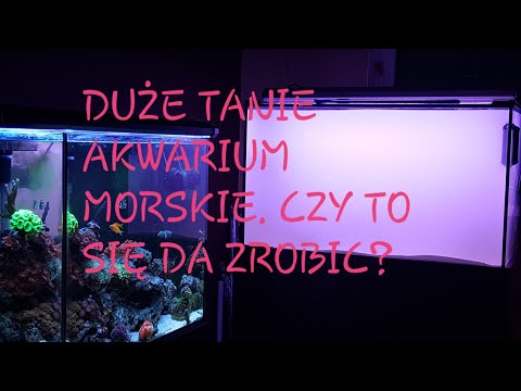 01. Duże, tanie morskie akwarium. Czy to jest możliwe?  Projekt 300