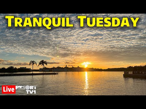 🔴Live: Tranquil Tuesday - Sailing the Seven Seas Lagoon & Resort Hopping - Walt Disney World