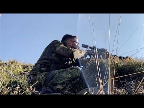 Chasse du Cerf au Brame dans les Pyrénées (2020)