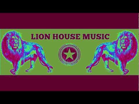 Lion House Quickmix 5