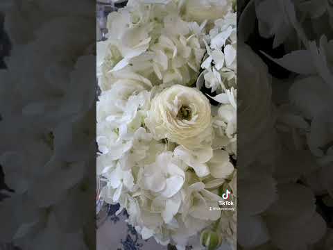 Bridgerton-Inspired Tablescape (Regencycore aesthetic dining table) #shorts