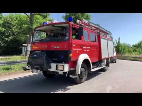 Impressionen vom Festumzug 750 Jahre Jarmen