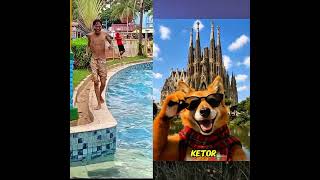 Download lagu Buy the herbal medicine far away #kucatgoyang #kucatlucu #kucatumut #kucatoyen #kucatviral mp3