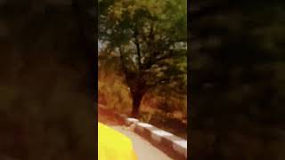 Download lagu Story wa Rohani Kristen #shorts #rohanikristen mp3 Download lagu Story wa Rohani Kristen #shorts #rohanikristen mp3