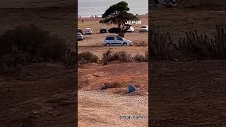 "الأرض في مِلكي".. مواطن يفرض 40 درهما لركن السيارة تحت ظل شجرة بشاطئ أغروض thumbnail