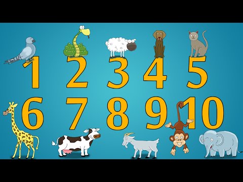 Učimo brojeve - Životinje