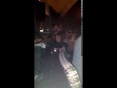 Tolga Kaya - Tedirgin Halim 2014