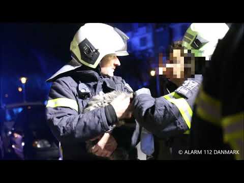 15.12.2019 - 2 hunde, 5 katte og 1 kvinde redde ud af lejlighed