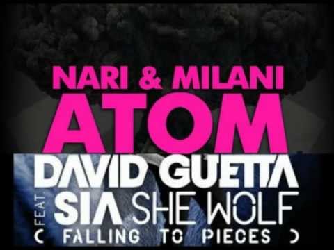 David Guetta ,Nari & Milani , Sia, Sandro Silva - She Wolf vs. Atom  (Rody Owen Mash'up)