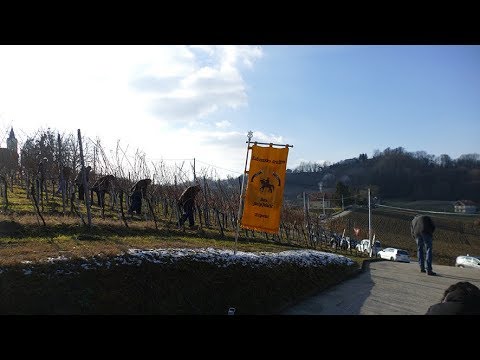 TRILIKUM Zaprešić - kuburaši na Vincekovom 2019