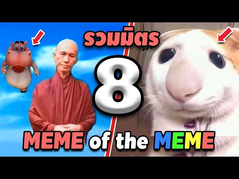 รวมมิตร ภาพนี้ก็ฮาเหมือนกันนะเนี้ย #8 SS2 [ พากย์นรก MEME.EXE ] | easy boy