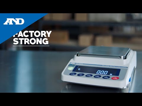 Multi Functional Precision Balances