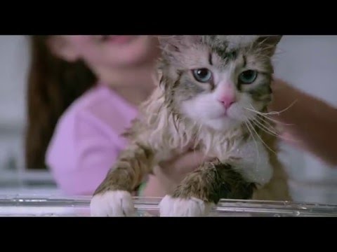 'Siete vidas' - estreno en cines 2 septiembre 2016