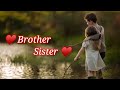 Rakshabandhan Status Video 2022 Bhai Bahen Status Bhai Behan Love Brother Sister Status